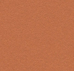 Линолеум Forbo Bulletin Board 2207 cinnamon bark фото 1 | FLOORDEALER